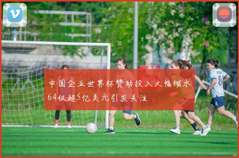 中国企业世界杯赞助投入大幅缩水64仅超5亿美元引发关注