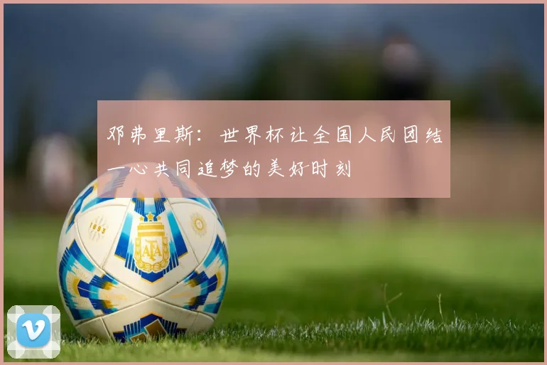 邓弗里斯：世界杯让全国人民团结一心共同追梦的美好时刻